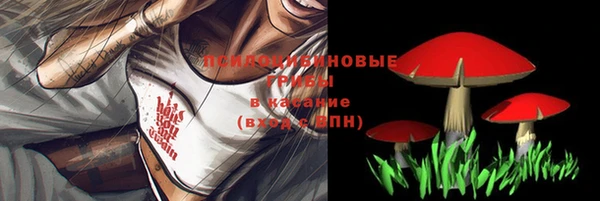 MESCALINE Аркадак