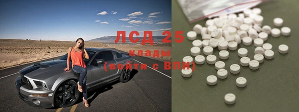 ПСИЛОЦИБИНОВЫЕ ГРИБЫ Балабаново