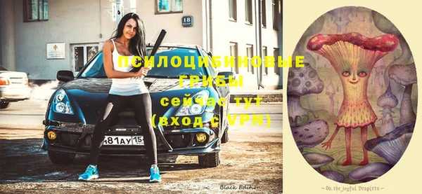 прущая мука Арсеньев