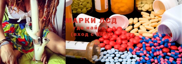 PSILOCYBIN Баксан